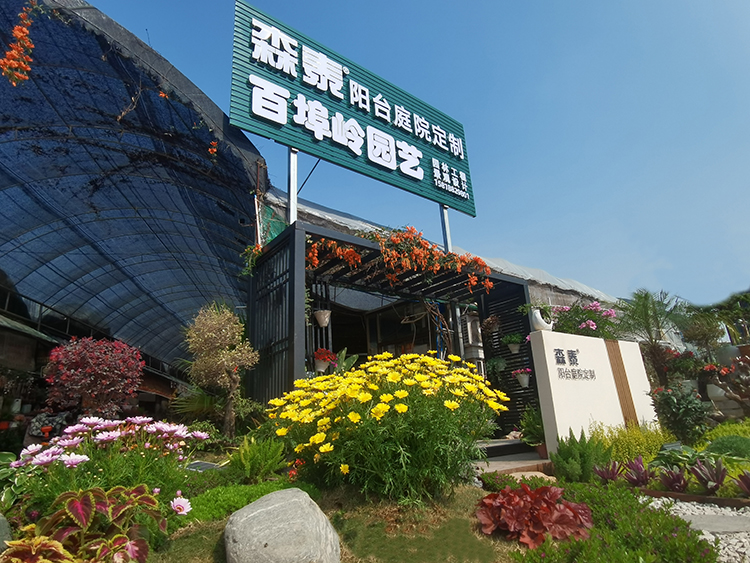 zoty��ŷ��(�й����޹�˾)�ٷ���վ