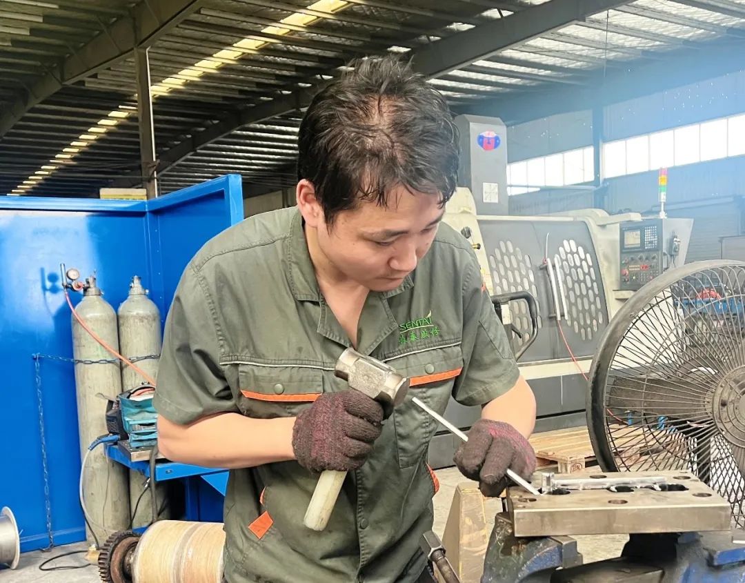 zoty��ŷ��(�й����޹�˾)�ٷ���վ