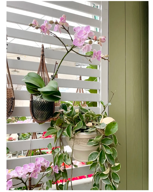 zoty��ŷ��(�й����޹�˾)�ٷ���վ