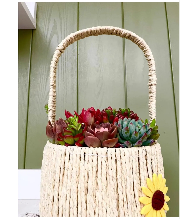 zoty��ŷ��(�й����޹�˾)�ٷ���վ